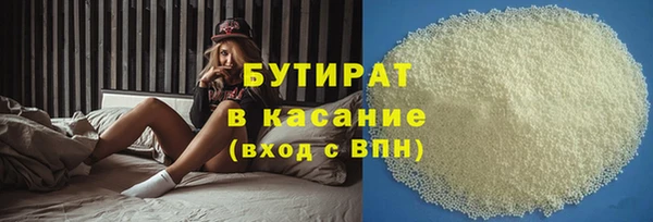 индика Алексин