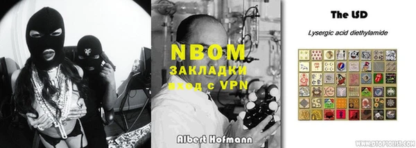 индика Алексин