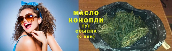 дживик Абаза