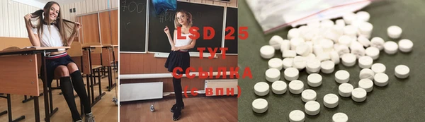 индика Алексин