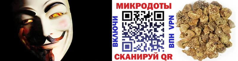 Галлюциногенные грибы Psilocybine cubensis Сатка