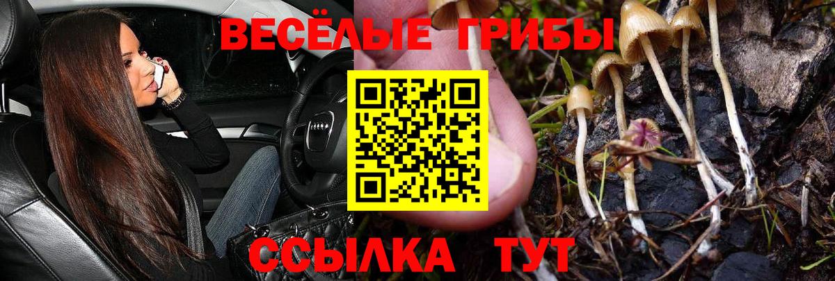 Галлюциногенные грибы Magic Shrooms  Псилоцибиновые грибы прущие грибы  магазин продажи   Сатка  Вход с VPN 